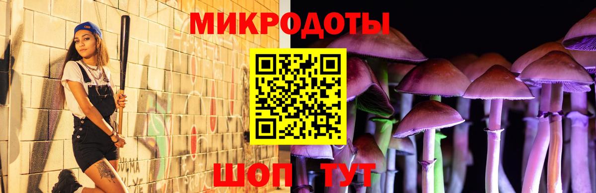 цена наркотик  Псилоцибиновые грибы Psilocybe  Вход с VPN  Магнитогорск 